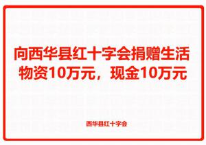 向西華縣紅十字會捐贈生活物資10萬元，現金10萬元